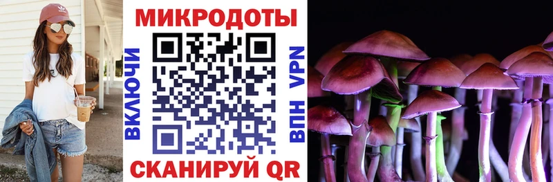 Псилоцибиновые грибы Psilocybine cubensis Кашин
